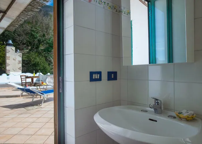 Your Nest On The Path