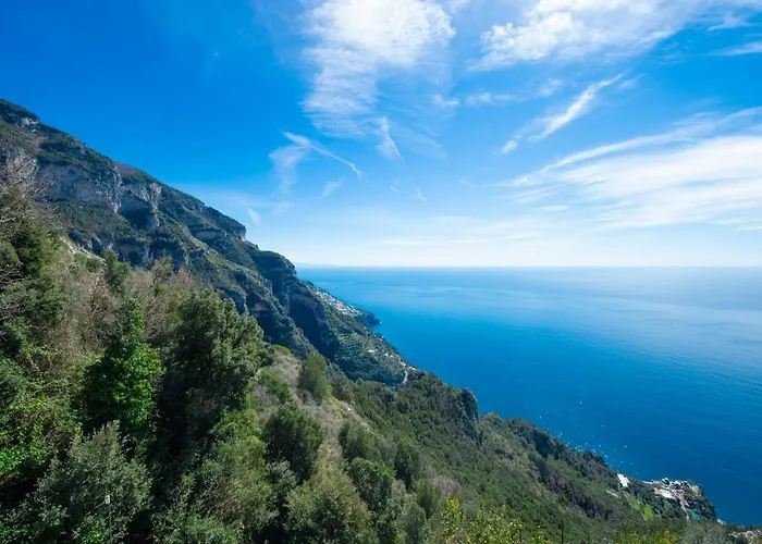 Your Nest On The Path