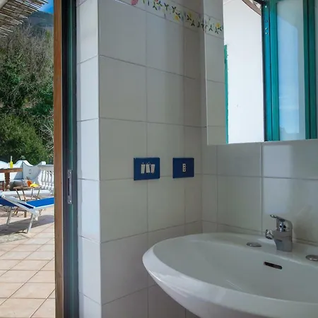 Your Nest On The Path